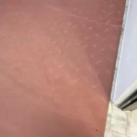 موکت