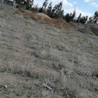 زمین کشاورزی