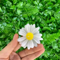 گیفت|صنایع دستی و سایر لوازم تزئینی|آبپخش, |دیوار