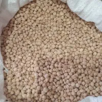 فروش نخود امسال140