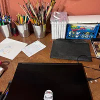 لپ تاپ|رایانه همراه|رشت, کاکتوس|دیوار