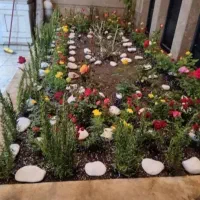 خدمات باغبانی تعویض خاک گلدان در منزل و غیره|خدمات باغبانی و درختکاری|تهران, صادقیه|دیوار