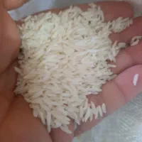 برنج دم سیاه