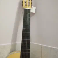 گیتار|گیتار، بیس، امپلیفایر|دلیجان, |دیوار