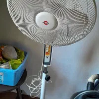 پنکه ایستاده