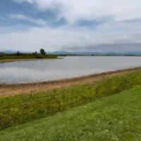 چه-زمینی-میخوای