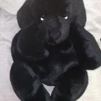 کوله بچه گونه خارجی نو