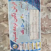 قالی 12 متری|فرش|کارون, |دیوار