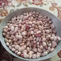 فروش لوبیا چیتی دریجه یک کیلویی ۳۸۰ تومن