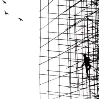 داربست فلزی 313.حسنی.