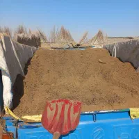 کود گاوی وگوسفندی