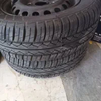 لاستیکپراید