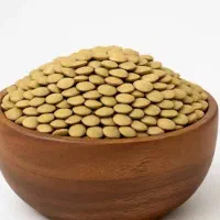 عدس ارگانیک درشت