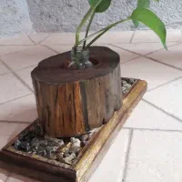 دکوری چوبی|صنایع دستی و سایر لوازم تزئینی|قم, بنیاد|دیوار