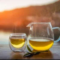 فروش چای کوهی طبیعی و تازه