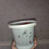 خرما برحی|عمده‌فروشی|آسارا, |دیوار