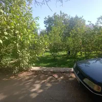 پژو آردی تمییز|خودرو سواری و وانت|یزد, |دیوار