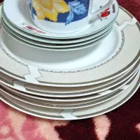 ظروف غذاخوری