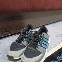 کفش|کیف، کفش، کمربند|قصرشیرین, |دیوار