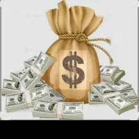 نیاز به سرمایه گذار