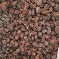 کشمش مویز آفتابی