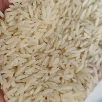 برنج هاشمی درجه۱ بشرط پخت و عظر بینظیر