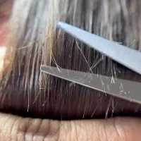 تخفیف ویژه مناسب شب یلدا کلیه خدمات صافی و احیا|خدمات آرایشگری و زیبایی|لاهیجان, گلستان|دیوار