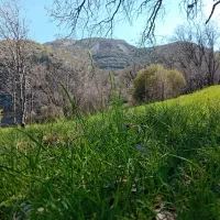 زمین-120متری-دزفول-شهرک-زراعی