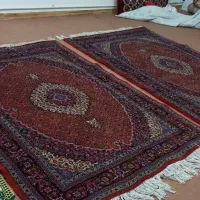 فرش دستباف|فرش|اردبیل, |دیوار