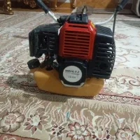 علف زن باغ رویال
