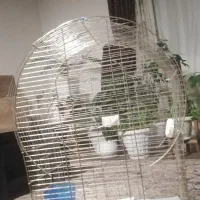 قفس پرنده|لوازم جانبی حیوانات|سرخرود, |دیوار