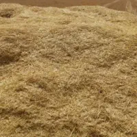 فروش سبوس و کاه گندم  جو و ذرت