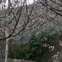 پاییز.   زیبا وبه یاد ماندنی در  کوهستان|اجارهٔ کوتاه‌مدت ویلا و باغ|قم, پردیسان|دیوار