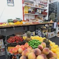 میز میوه فروشی|فروشگاه و مغازه|جلین, |دیوار