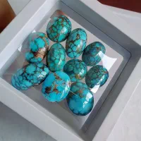 ده عدد شجری عنکبوتی