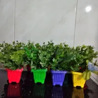 گل مصنوعی|گل مصنوعی|قم, چهل درخت‎|دیوار