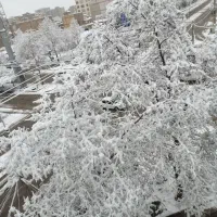 کلی لوازم شخصی