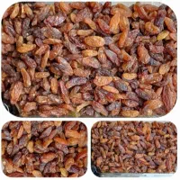 کشمش آفتابی امسالی