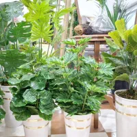 فروش گل های لمسه مصنوعی که باطبیعی مونمیزنه|گل مصنوعی|کوهدشت, |دیوار