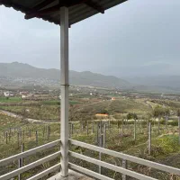 منشی خانم