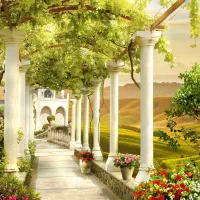 نصاب کاغذ دیواری و نقاش ساختمان در حد تیم ملی