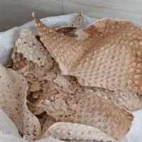 نان خشک