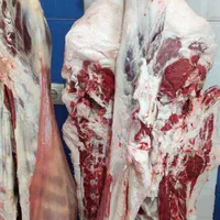 گوشت گوسفندی بره و بزغاله نر کیلویی۵۸۰