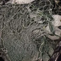 طور ماهی گیری فروشی
