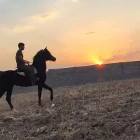 زمین در شاهین شهر با سند تک برگ و اقساط|فروش زمین و ملک کلنگی|شاهین‌شهر, شهرک میلاد|دیوار