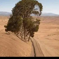 زمین-شهرک-پرنیان-تحویل-گرفته-شد-شهرک-پرنیان
