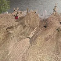 جارو|لوازم نظافت|تربتحیدریه, شهرک ولیعصر|دیوار