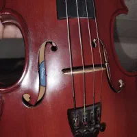 ویولن tf|ویولن|گرگان, |دیوار