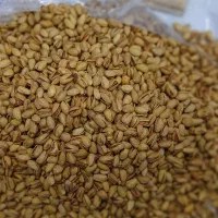 ویزیتور پخش کننده آجیل آستان اشرفیه ممتاز|خوردنی و آشامیدنی|بندر کنگان, |دیوار