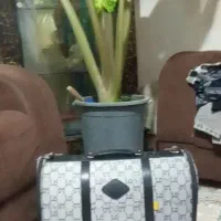 کیف حمل سگ و گربه|لوازم جانبی حیوانات|کرج, خرمدشت|دیوار